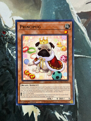 pug yugioh card CROS-EN037 Putrid Pudding Body Buddies : Common 1st Edition Mint Card:: Unicorn Cards bean filling is double bagged for safety and Flopsies feature lock washer eyes I'm sorry but Principug seems