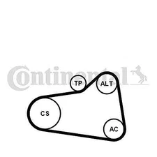 CONTINENTAL CTAM 6PK905 EXTRA K1 V-RIBBED BELT KIT FOR CITROËN DS MINI PEUGEO