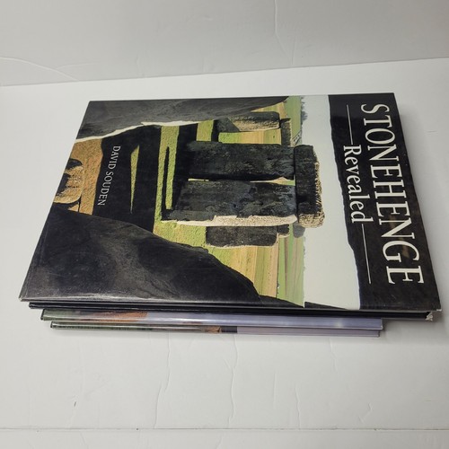Stonehenge enthüllt David Souden Die Geschichte von Stonehenge Patricia Southern Lot - Bild 5 von 10