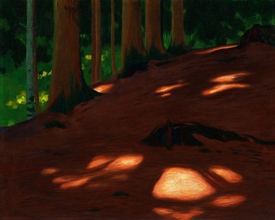 Hans Emmenegger: Forest Floor 22x30 Archival Quality Fine Art Print