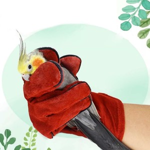 parrot training gloves