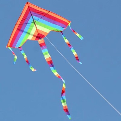 Rainbow Kite Easy Fly Kids Outdoor Beach Kite Colorful Delta Kite with Line Fun
