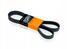 Continental 5PK736 Keilrippenriemen 