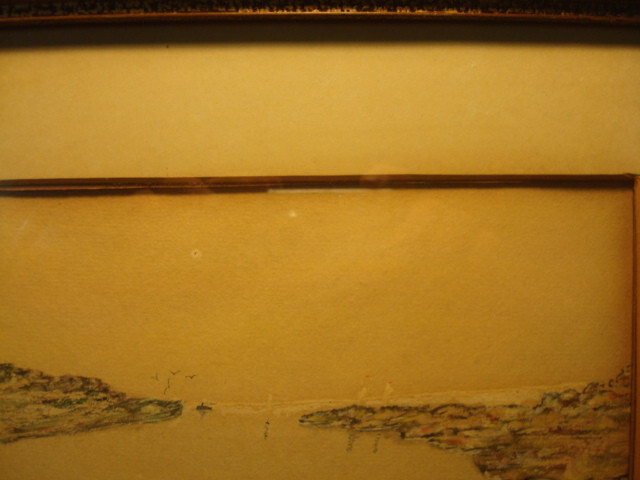 Picture 5 of 15