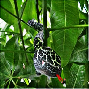 remote control snake ebay