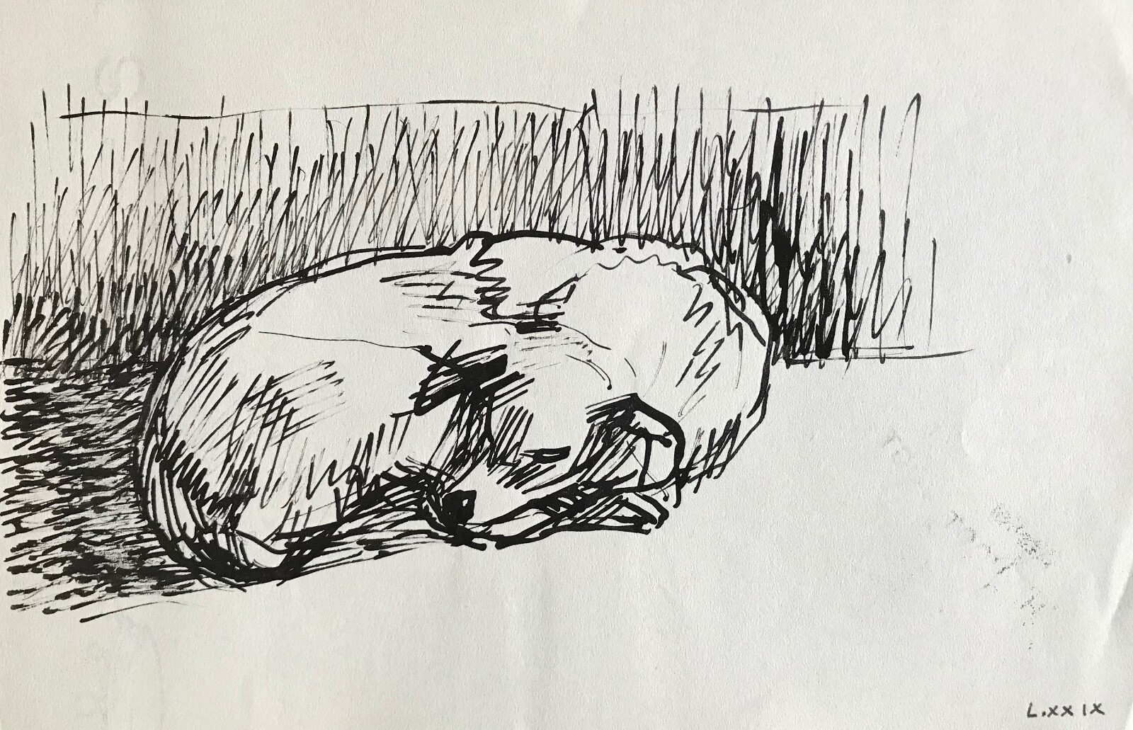 Hélène Vogt Original Ink Drawing Dog Artwork 16