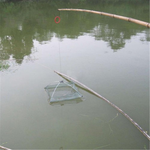 Köderfisch Senke mit Antiflucht Fischsenke Ersatznetz Faltbar Angelnetz Reuse - Bild 7 von 18