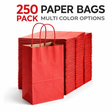 Paper Shopping Bags w/ Handles 5.5 x 3.25 x 8.375 Gift Retail Multi Color 250