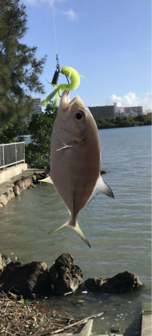 Fishing Lure Megabass Rock Hog 2Inch 4 Color Set