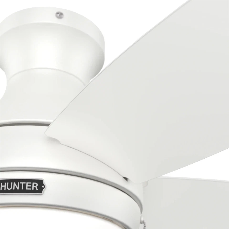 Hunter Fan 44 inch Fresh White Low Profile Ceiling Fan with Pull Chain and Light - Image 4 of 4