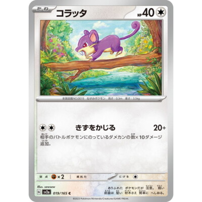 Pokémon Card PSA ポケモンカード　コラッタ　Rattata Rattata 019/165 C Pokemon Card Japanese Pokemon Card 151 SV2a 2023