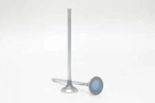 Safety Auto Parts Exhaust Valve