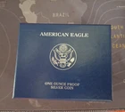 2010 American Silver Eagle — photo from another recent sale