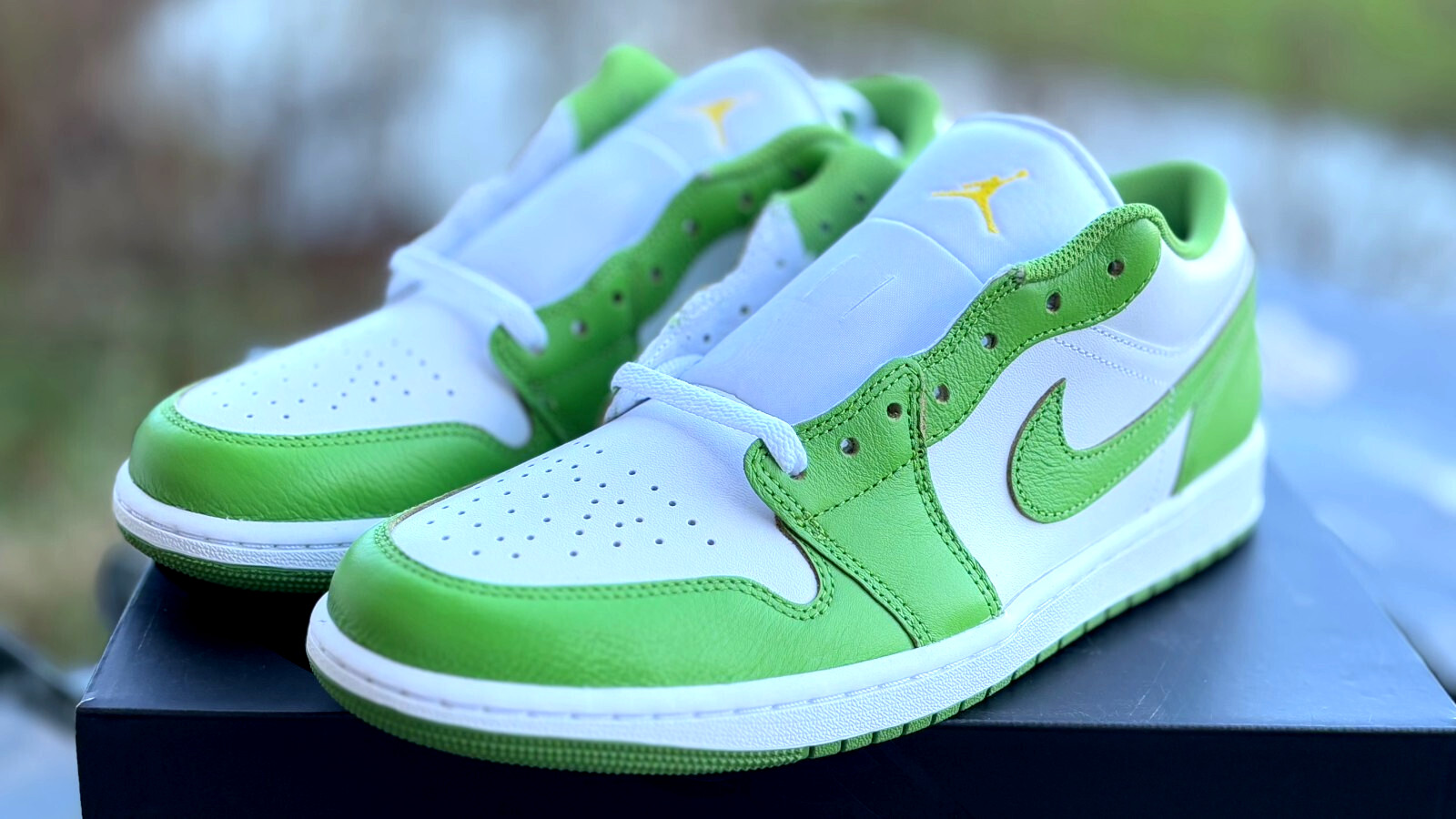 Nike Air Jordan Retro 1 Low SE Chlorophyll White Mens Sneakers Hf4823 100