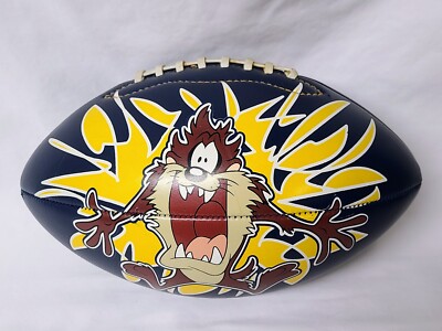 2000 Six Flags Looney Tunes TAZ 8