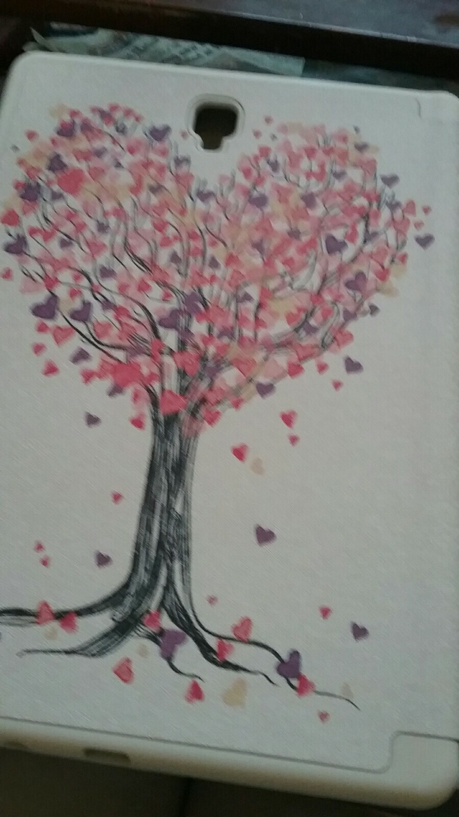 Bild 7 von 8