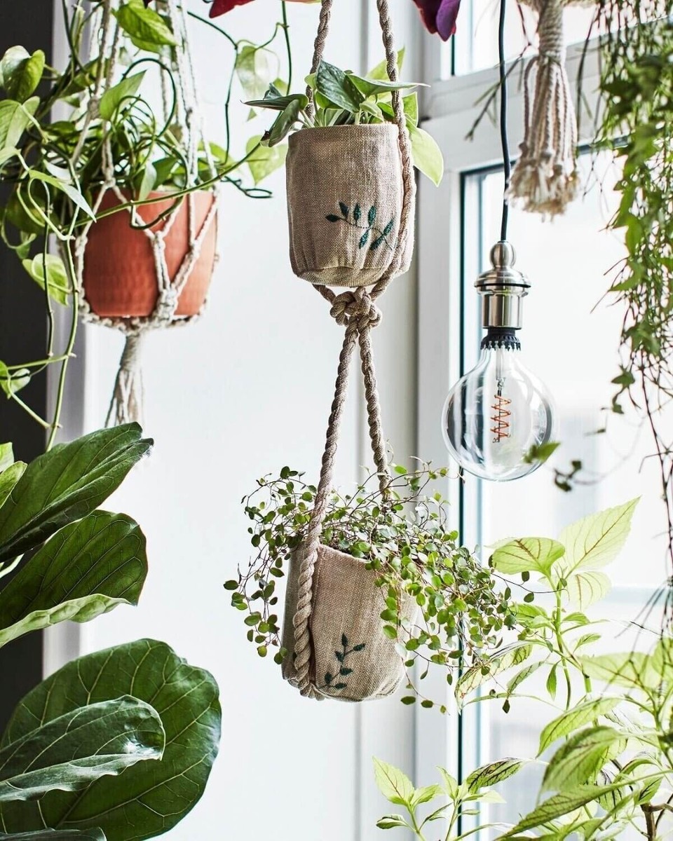 concrete indoor planter Osaka Discs Concrete Planter in Aerated Cement main image 0