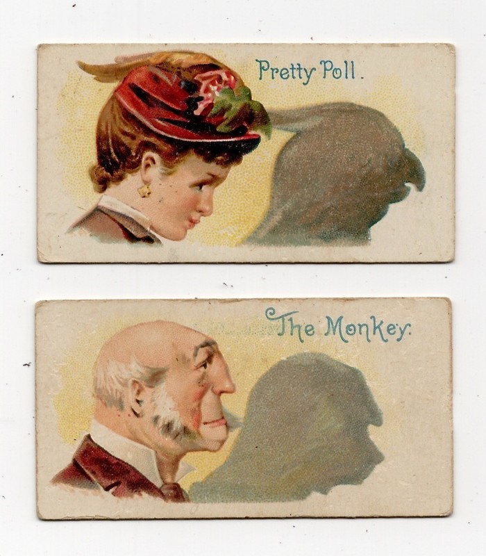 Pair of W. Duke, Sons & Co. Tobacco Cards; N87; Shadows; Pretty Poll; The Monkey