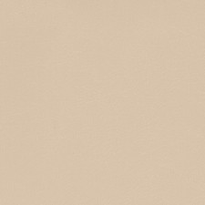 Spradling Navigator Vinyl Fabric 54" Wide