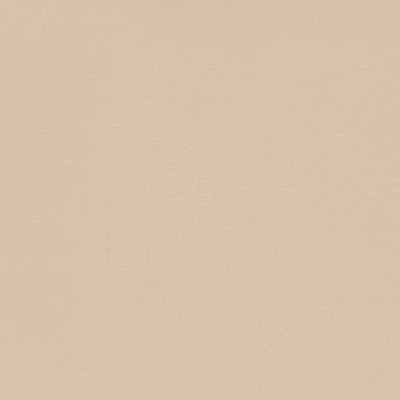Spradling Navigator Vinyl Fabric 54'' Wide