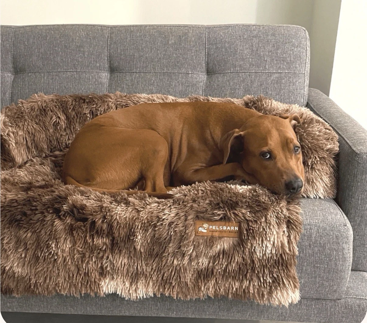 Pelsbarn Original Calming Dog Bed XXL Brown-Beige w Bolsters 60–100+ lbs Pet