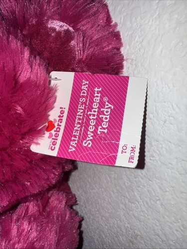 VALENTINE'S DAY Teddy Bear Pink Heart LOVE YOU TO THE MOON AND BACK 2025 - Picture 3 of 9