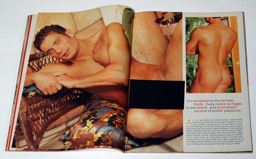 PLAYGIRL MAGAZINE - FEBRUARY 2001, Steve SIPPLE, Jonathan HOWARD, Peter STEVENS - Picture 10 of 21