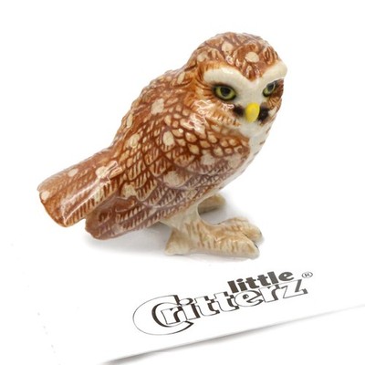 Little Critterz Owl - Burrowing Owl ''Athene'' - Miniature Porcelain Figurine