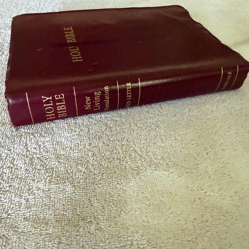 Santa Biblia Nueva Traducción Viviente Edición Regalo y Premio Granate - Imagen 2 de 11