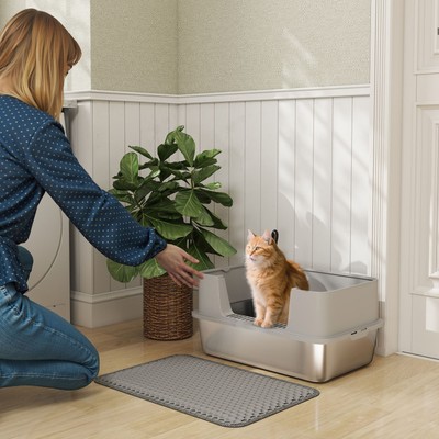 Hochseitige Edelstahl Katzentoilette, Metall Katzentoilette mit Schaufel, Katzentoilette
