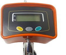 Bilancia Professionale Digitale a Gancio Dinamometro Digitale 500 KG Industriale