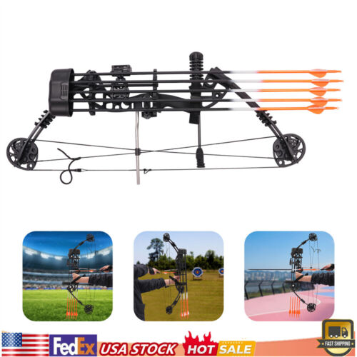 30-60Lbs 320FPS Youth Compound Bow Kit Archery Hunting Shooting & 12 Arrows US