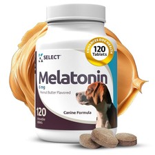Melatonin for Large Dogs - Anxiety Treats for Sleep, , Thunderstorms  Firewo...