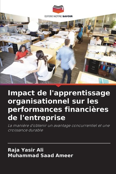 Impact De L'apprentissage Organisationnel Sur Les Performances FinancièRes De...-image