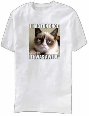 Adult White Internet Meme Grumpy Cat I Had Fun Once It Was Awful T-shirt Tee