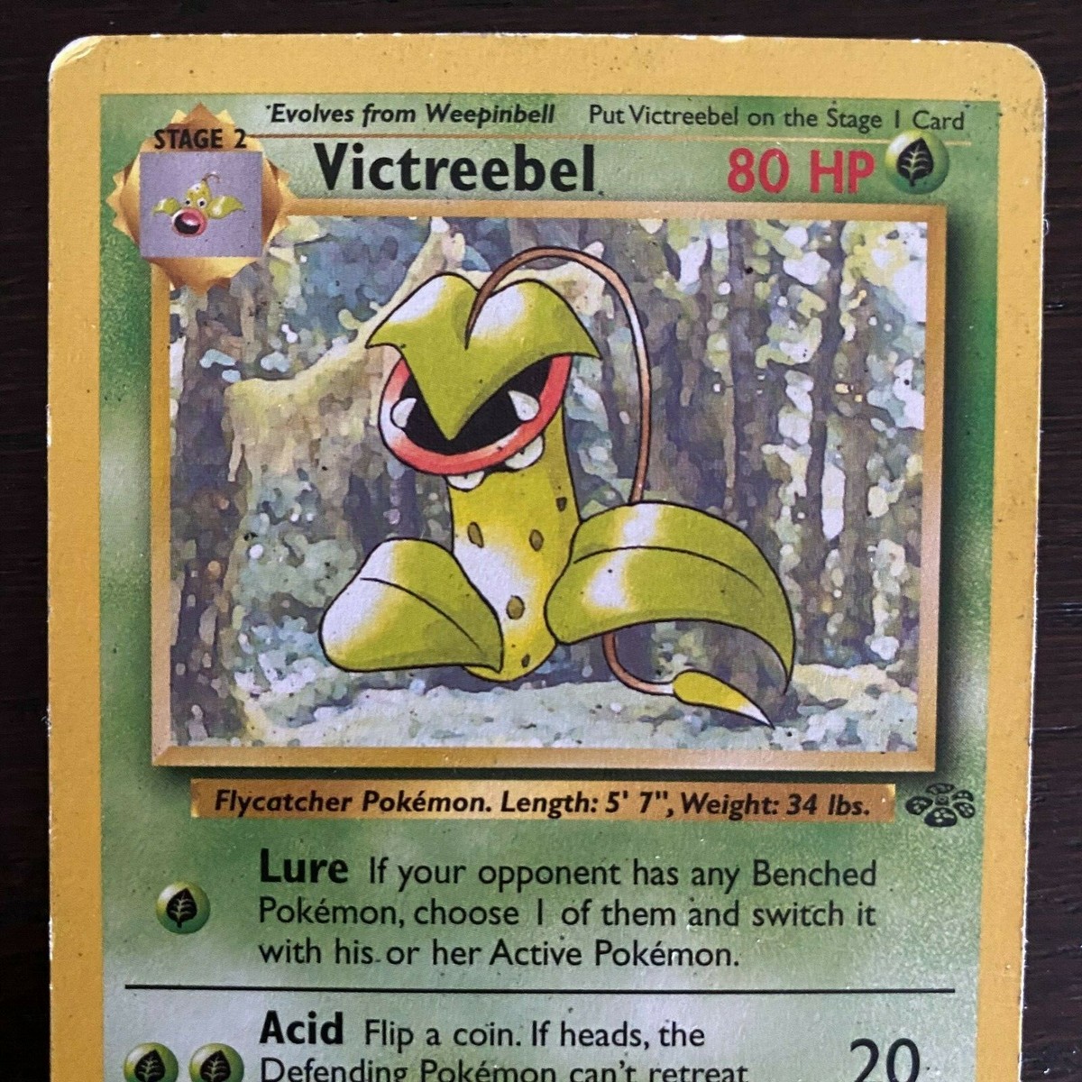 Victreebel 30/64 Jungle Set Non-Holo WOTC Pokemon Card TCG LP | eBay