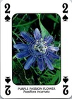 Bild 53 von 54