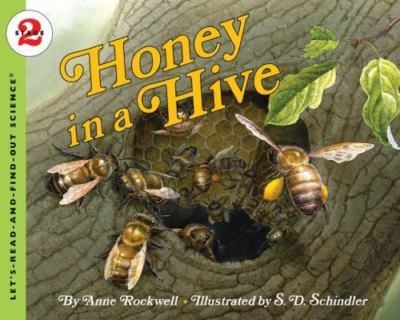 Honey in a Hive by Rockwell, Anne