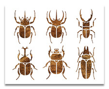Beetles Stencil - Hercules Beetle - Stag beetle - Titan beetle - Beetle Bundle