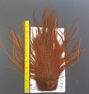 Dyed Brown Grizzly Saddle Hackle LONG THIN DRY FLY TYING FEATHERS #12