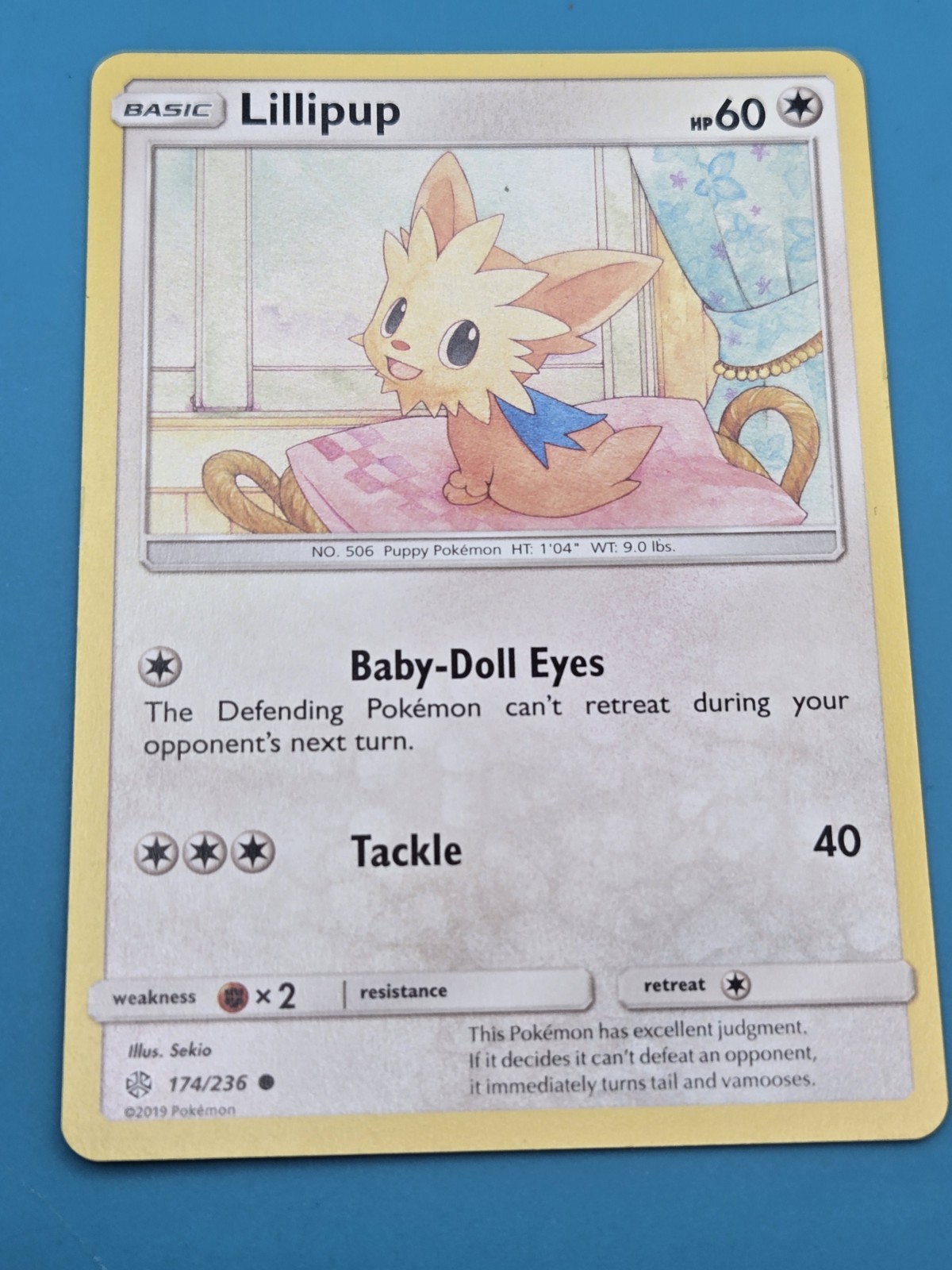 Lillipup 174/236 Pokemon English Sun & Moon Cosmic Eclipse 2019 NM