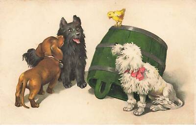 Embossed card - animals - dogs, including a dachshund, looking at a chick