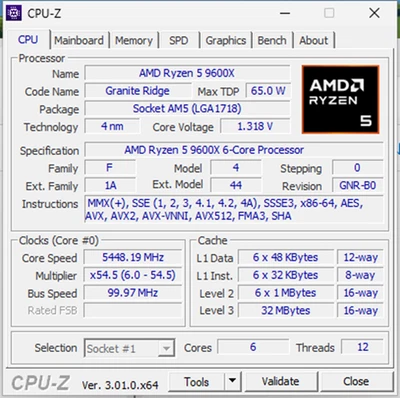 Ryzen 5 9600X listing on ebay