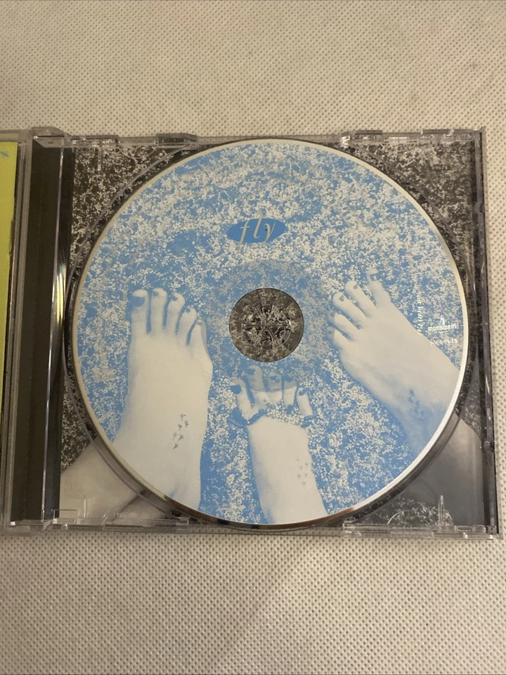 Fly - Audio CD By Dixie Chicks -GOOD Foto 4 de 4