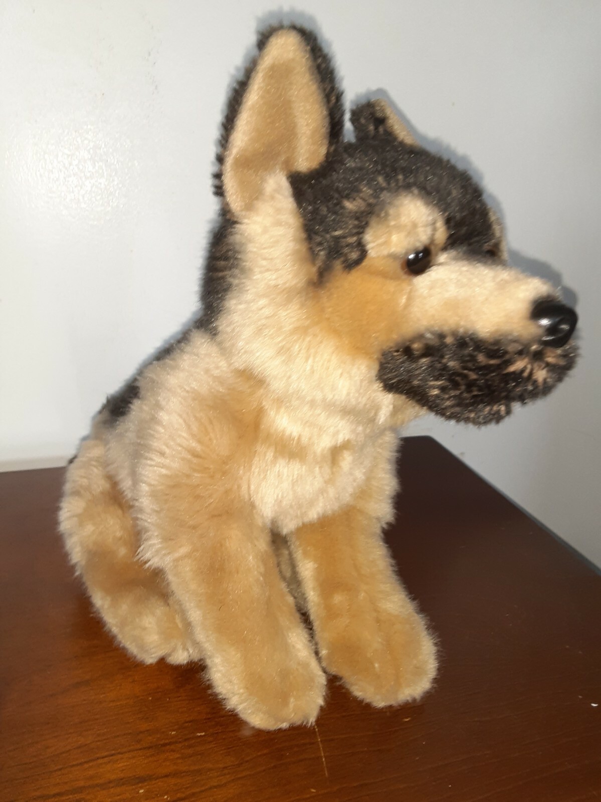 when to feed kittens