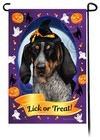 Halloween Garden Flag - Bluetick Coonhound