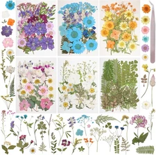 50Pcs Large Dried Pressed Flowers for Resin Molds, Real Dry Natural Flower Leaf