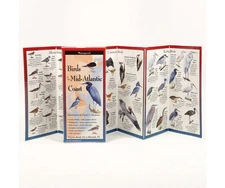 Birds Mid-Atlantic Coast