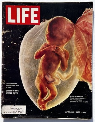 LIFE Magazine April 30, 1965 Drama Of Life Before Birth Issue