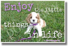 Enjoy The Little Things 2 - NEW Classroom Motivational Poster